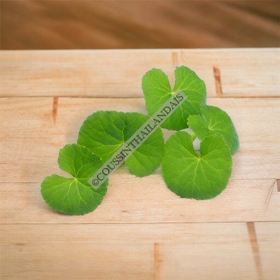 Centella asiatica tea Abhaibhubejhr