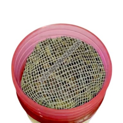 Inhalateur Bow Dang formule 2 Bow Dang